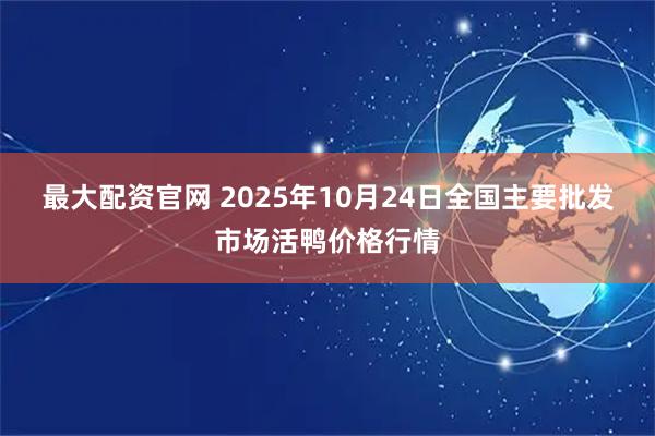 最大配资官网 2025年10月24日全国主要批发市场活鸭价格行情