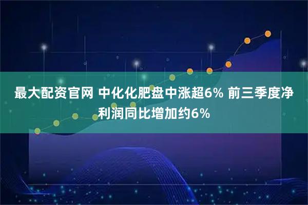 最大配资官网 中化化肥盘中涨超6% 前三季度净利润同比增加约6%