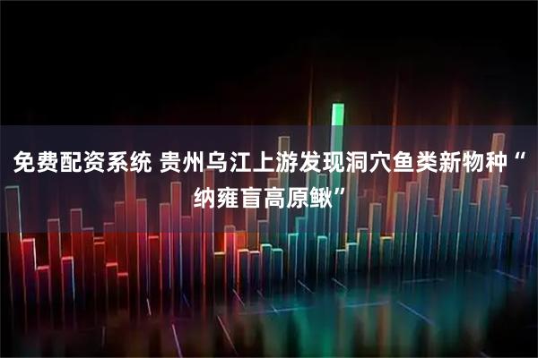 免费配资系统 贵州乌江上游发现洞穴鱼类新物种“纳雍盲高原鳅”